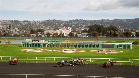 horse racing fields today.